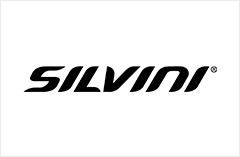 SILVINI