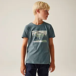 Dětské bavlněné tričko Regatta BOSLEY VIII modrošedá Dětské bavlněné tričko Regatta BOSLEY VIII modrošedá