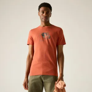 Pánské tričko Regatta BREEZED hnědá Pánské tričko Regatta BREEZED hnědá