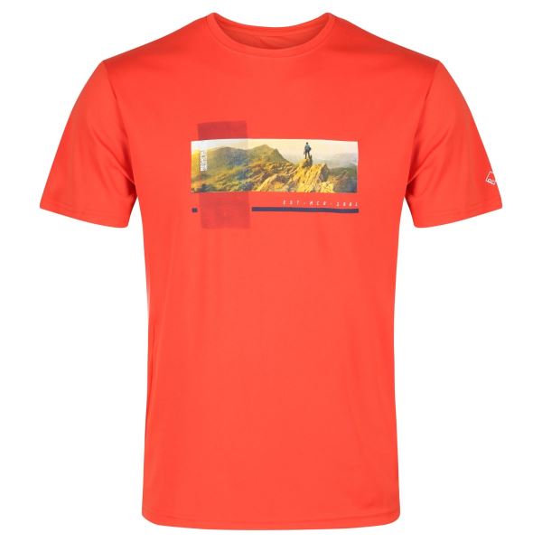 Pánské tričko Regatta FINGAL V oranžová