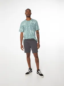 Pánské kraťasy PROTEST BASTIAN šedá Pánské kraťasy PROTEST BASTIAN šedá