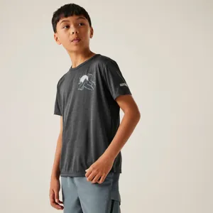 Dětské funkční tričko Regatta ALVARADO IX šedá Dětské funkční tričko Regatta ALVARADO IX šedá